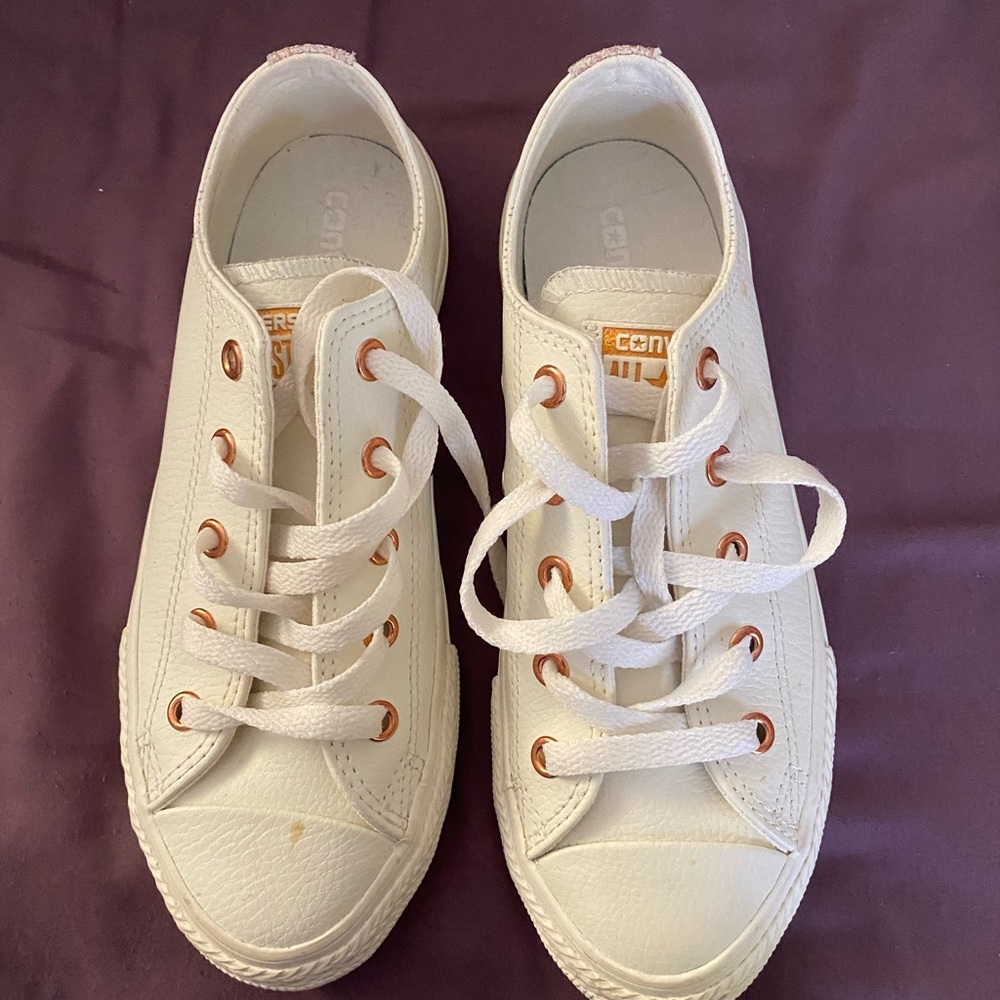 Snakeskin lined converse
